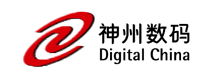digital China